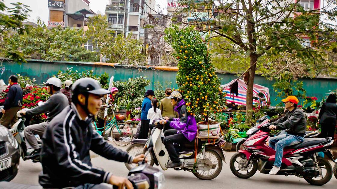 Tet Festival Vietnam Tourism
